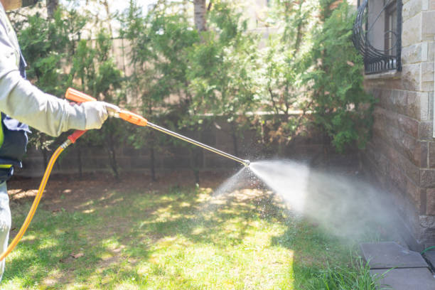 Best Insect Control  in Phenix City, AL